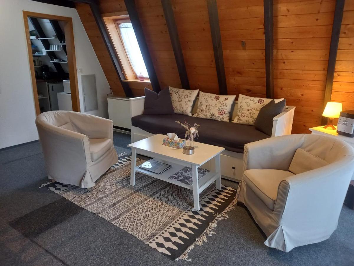 Gemuetliches Ferienhaus Mit Sonniger Terrasse Frankenwald Naehe Badesee Smart-Tv Lichtenberg  Екстериор снимка